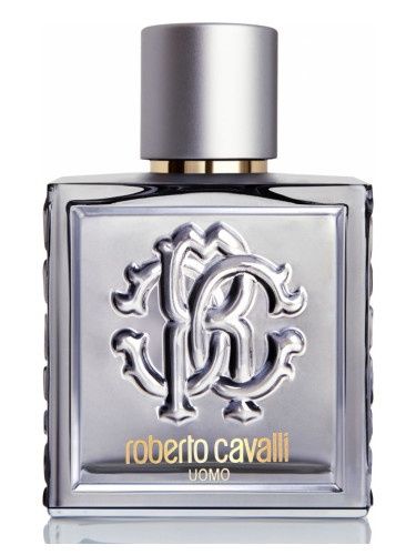 Roberto Cavalli  Uomo Silver  essence  edt 100ml Mega Unikat