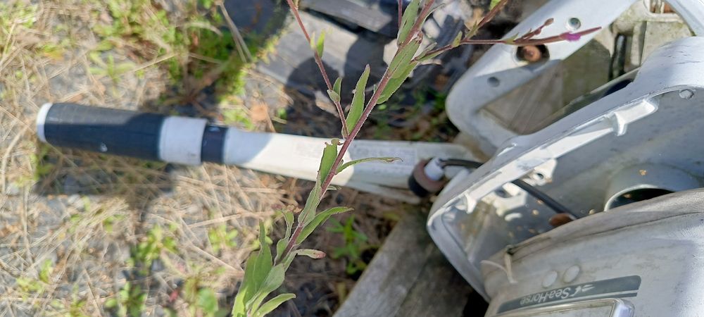 Silnik zaburtowy Johnson 35KM 2T Obudowa