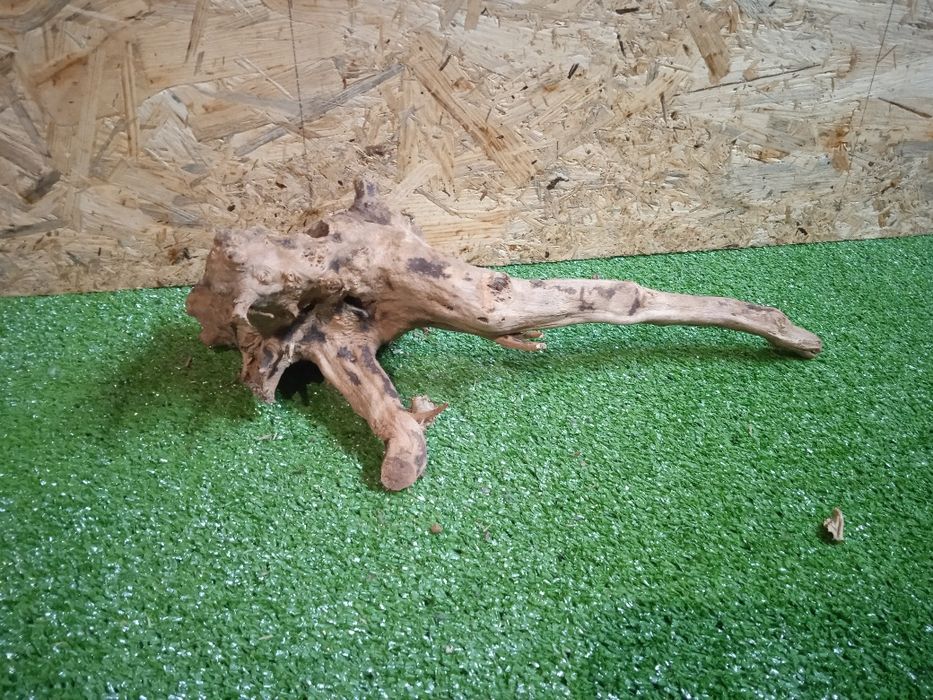 Korzeń do akwarium Red Moore Wood nr 209 o wymiarach 37/17/17