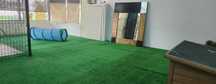 Petshop - Matosinhos/Sra da Hora