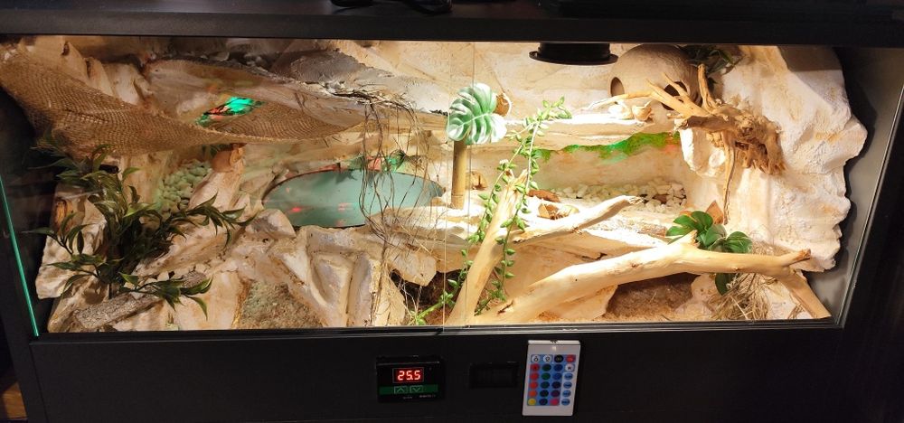 Gotowe terrarium dla węża w pełni wyposażone