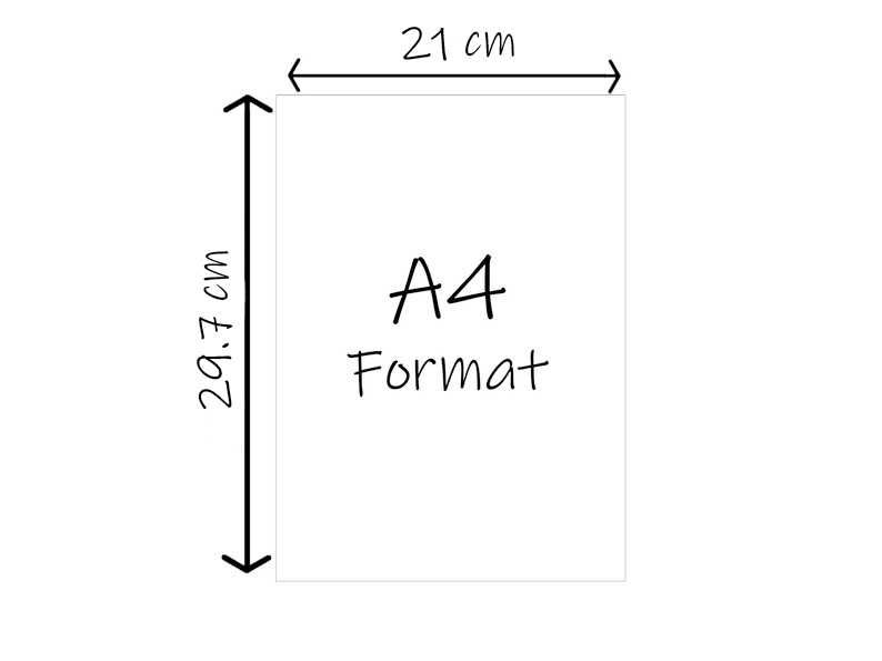 3 szt. Plakaty Obrazki Format A4 "Leśne Zwierzęta"