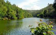 No rio inha, junto aos passadiços, com contentor e cabana madeira