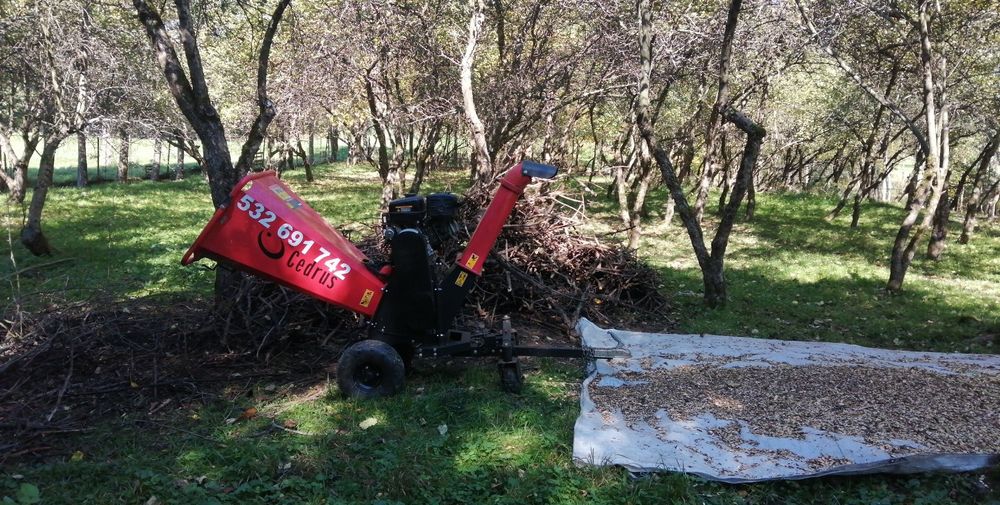 Wycinka drzew mielenie Sprzątanie dzialek