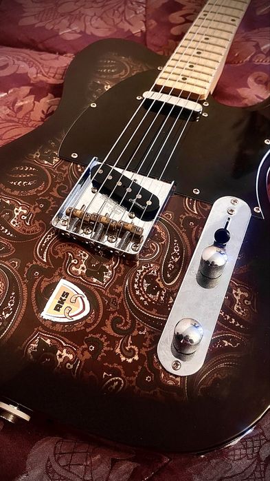 Gitara Elektryczna Harley Benton TE70 Black Paisley