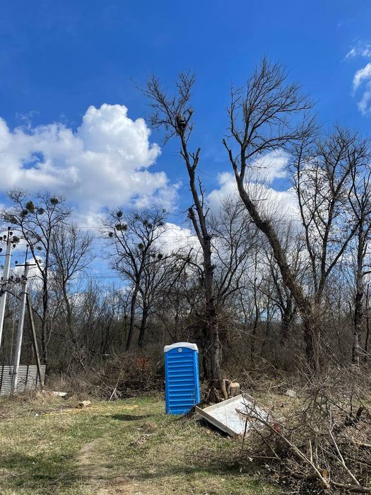Зрізання дерев, Спил, Кронування, Корчування!