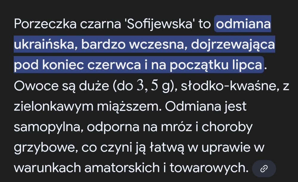 Porzeczka czarna " Sofijewska"