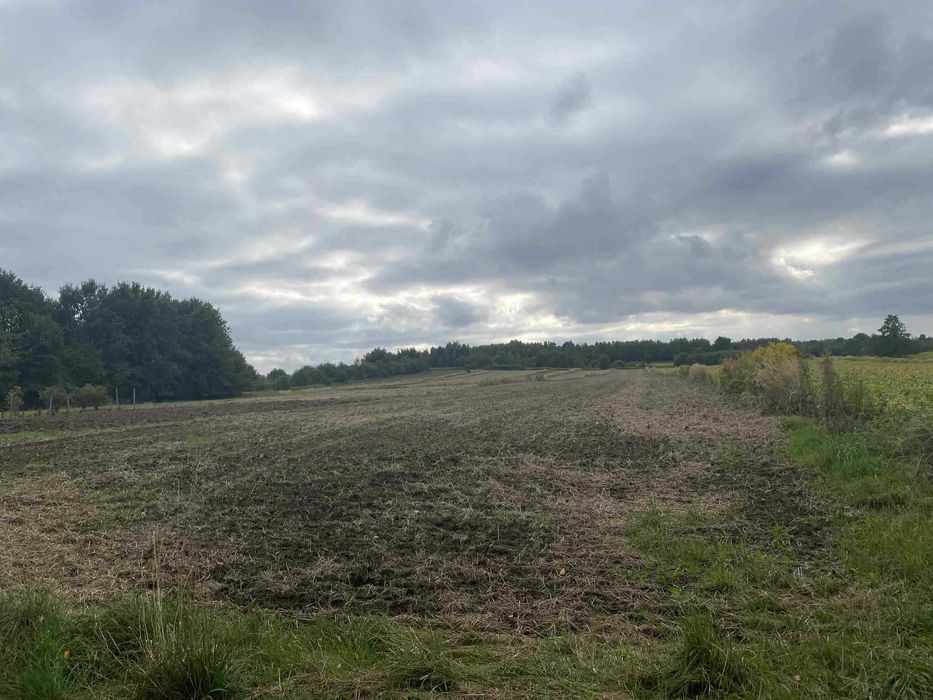 Działka rolno budowlana