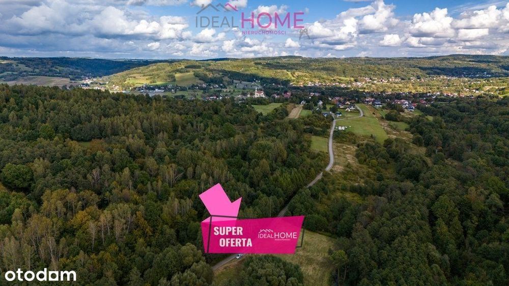 Działka budowlana w lesie - Domaradz