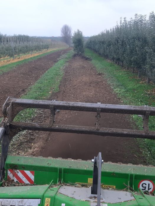 Mulczer leśny oczyszczanie działek wycinka karczowanie