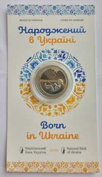 " Народжений в Україні " - монети України.