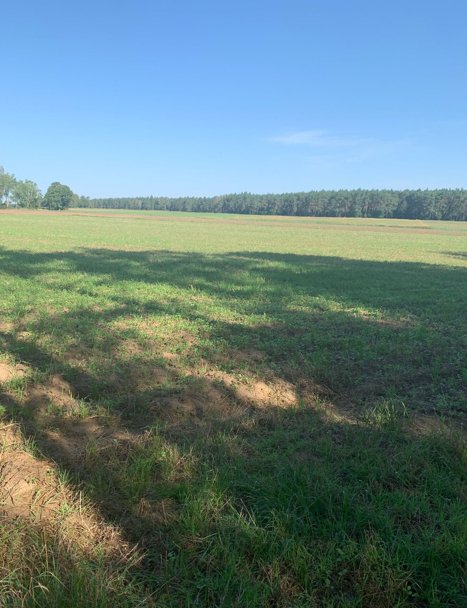 leśne i rolne, przy autostradzie A1, gmina Tuszyn