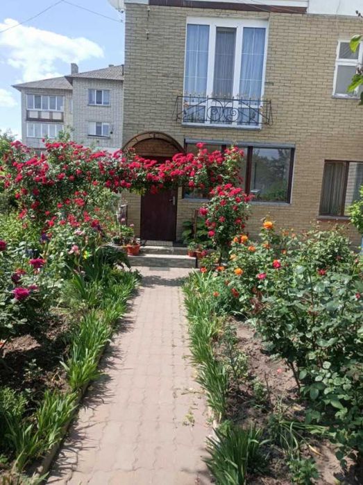 Простора 3-кімнатна квартира з окремим входом та власним двориком.