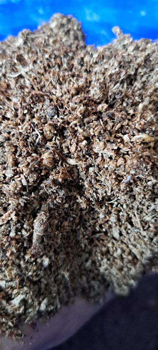 Flake soil pokarm dla larw chrzaszczy