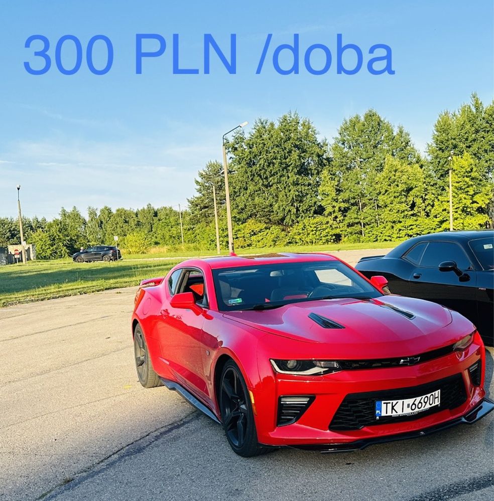 Wynajem Chevrolet Camaro na doby , na ślub krótkoterminowy najem