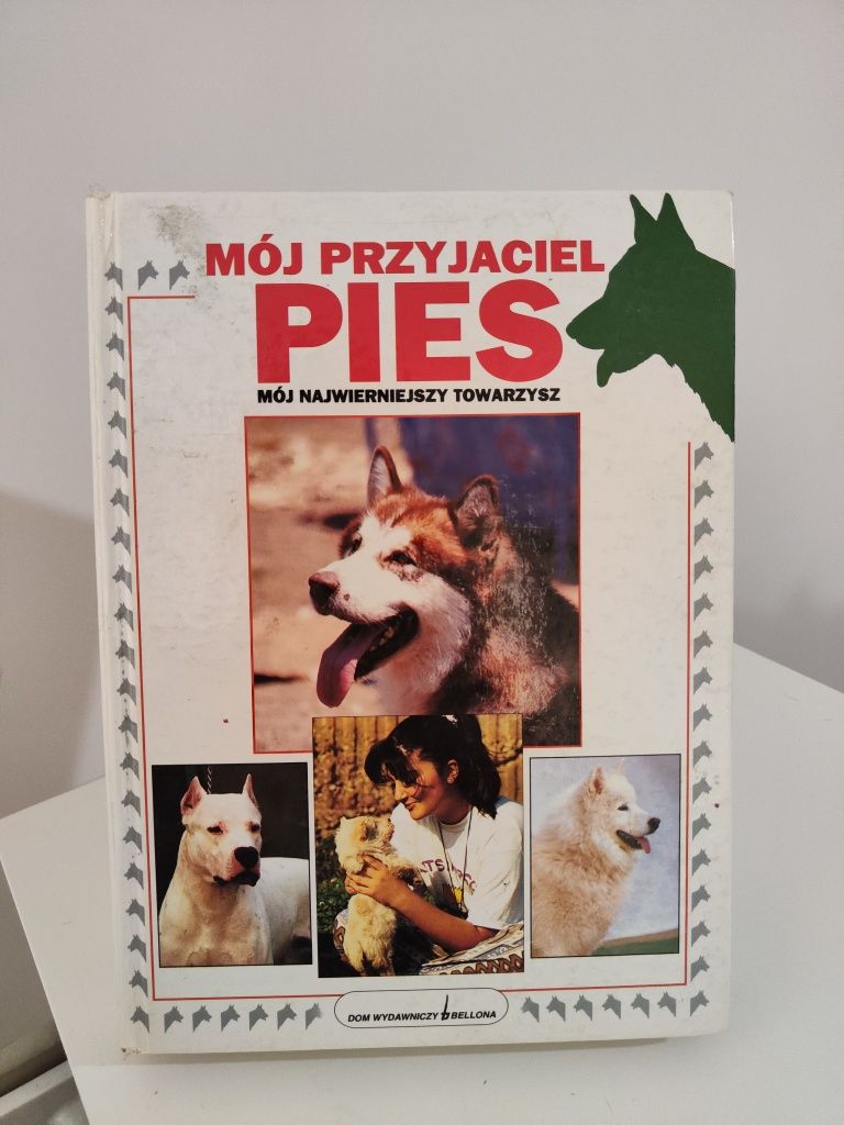Mój przyjaciel pies Mój najwierniejszy towarzysz .