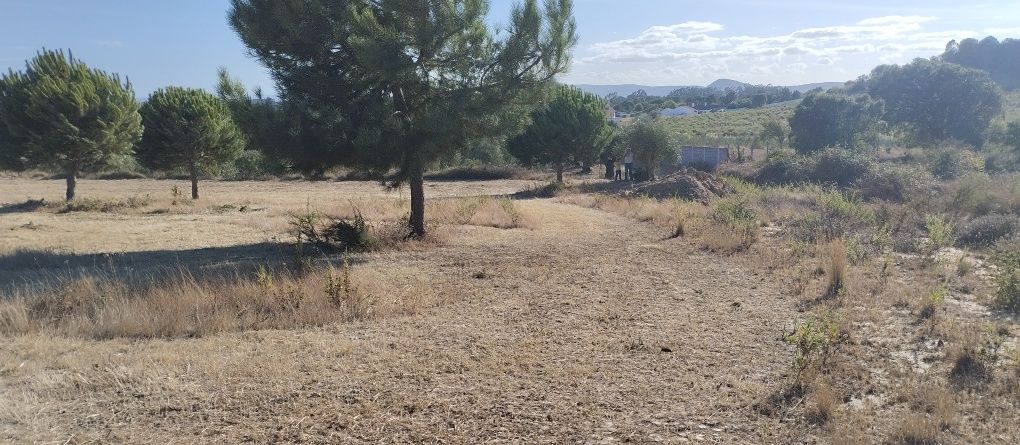 Terreno para Quintinha