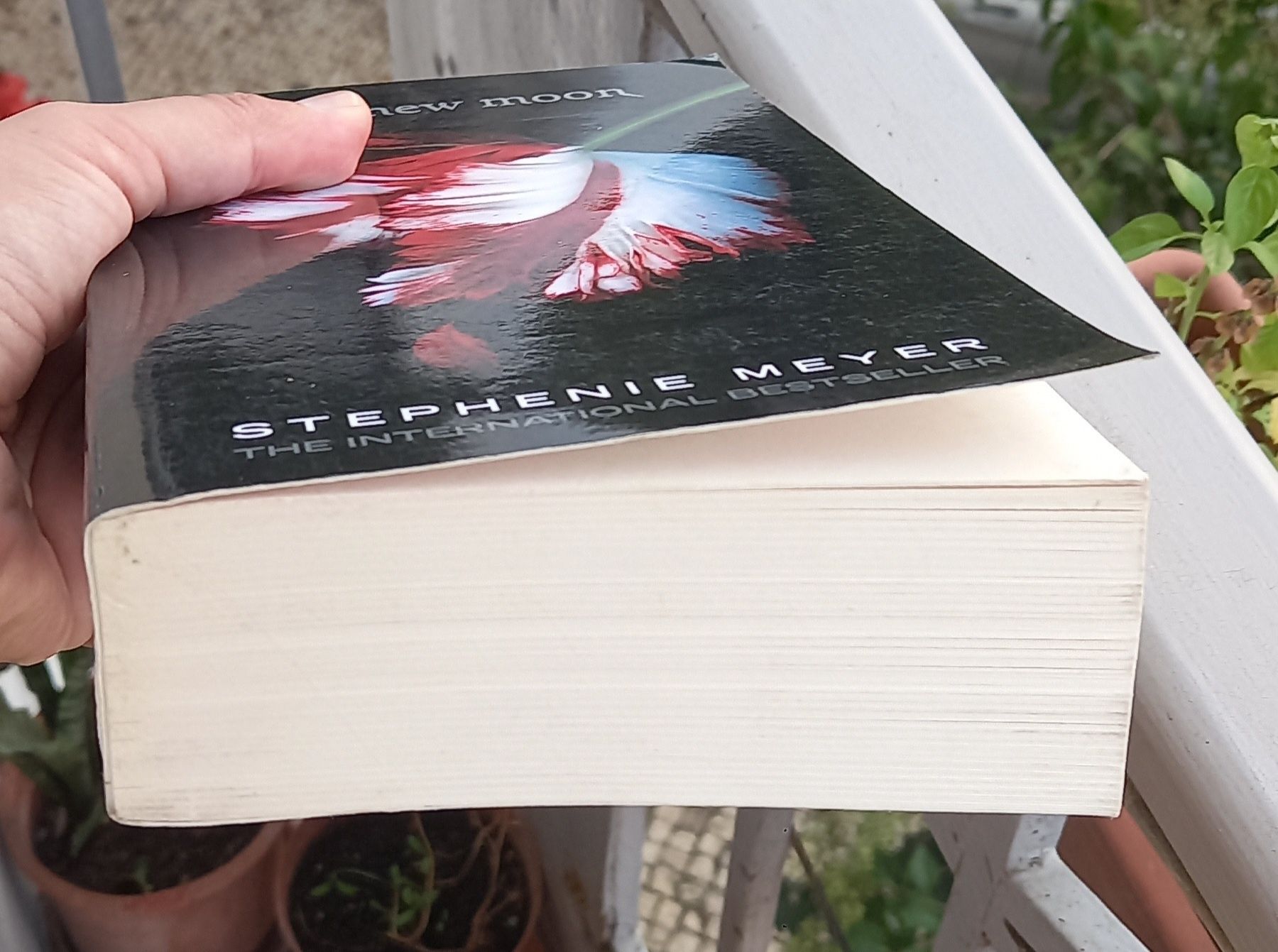 4 livros Twilight de Stephenie Meyer em inglês