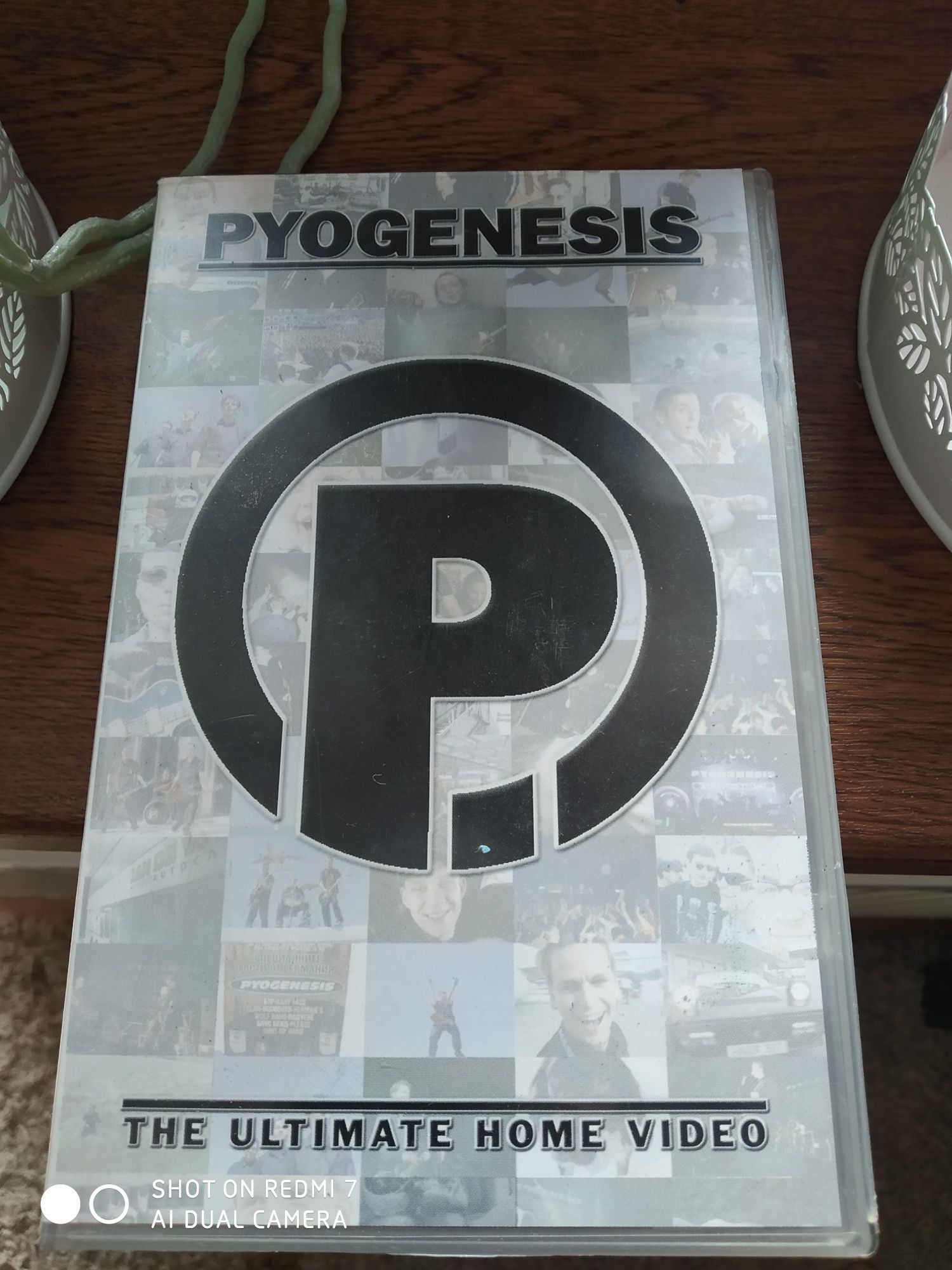 Pyogenesis video