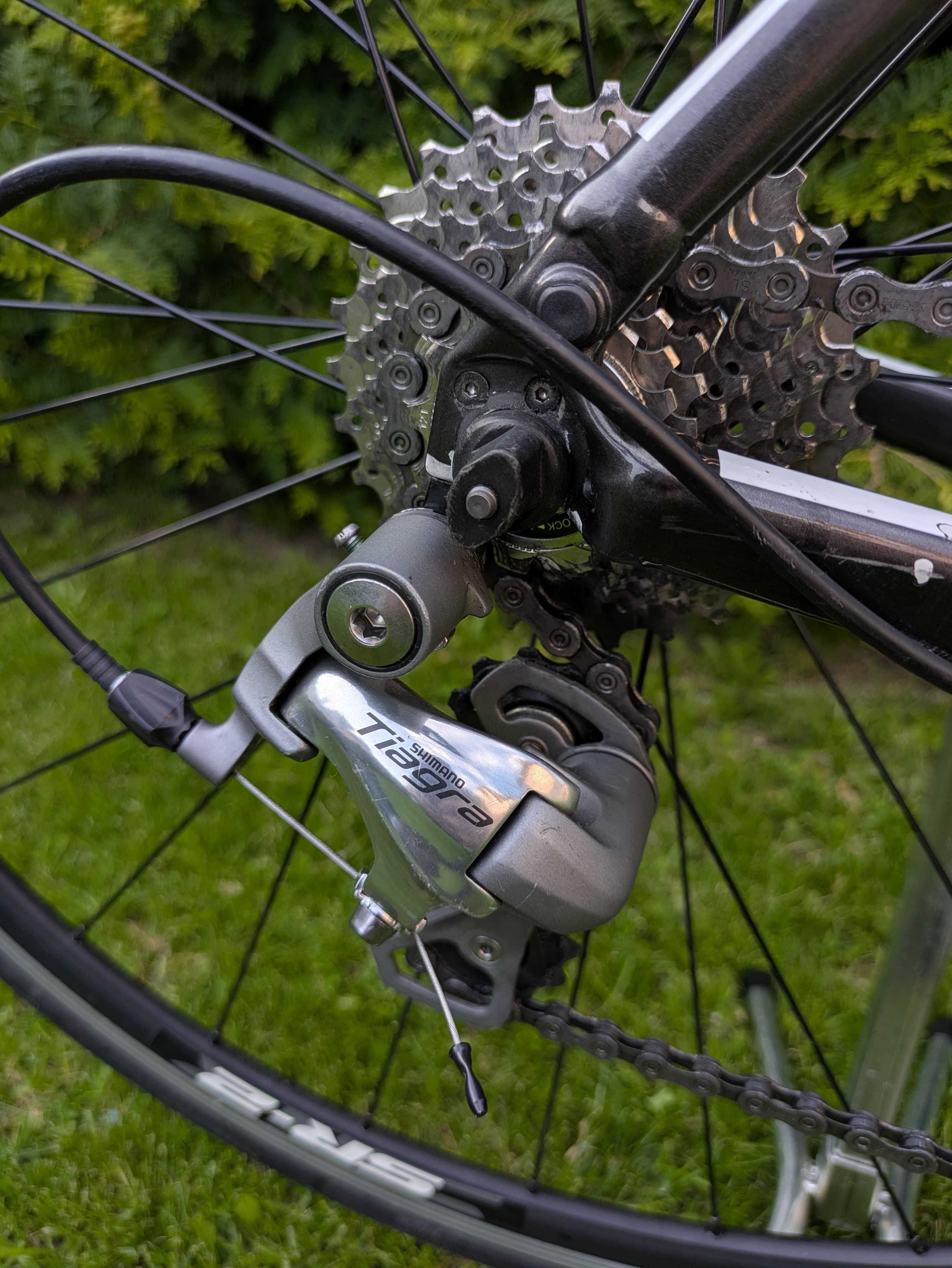 Giant defy 2, rozm. L, 2015r