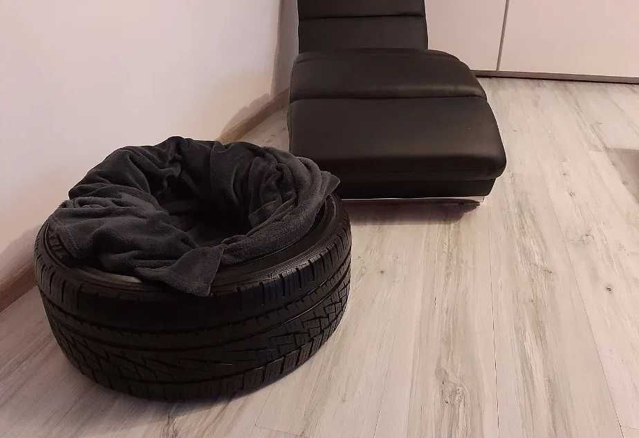 Leżak,leżanka dla psa lub kota,nowoczesny element biura,warsztatu,domu