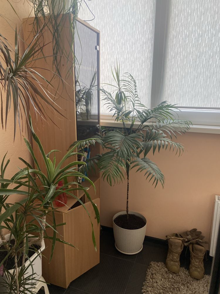 Продам  3-х  кімнатну квартиру