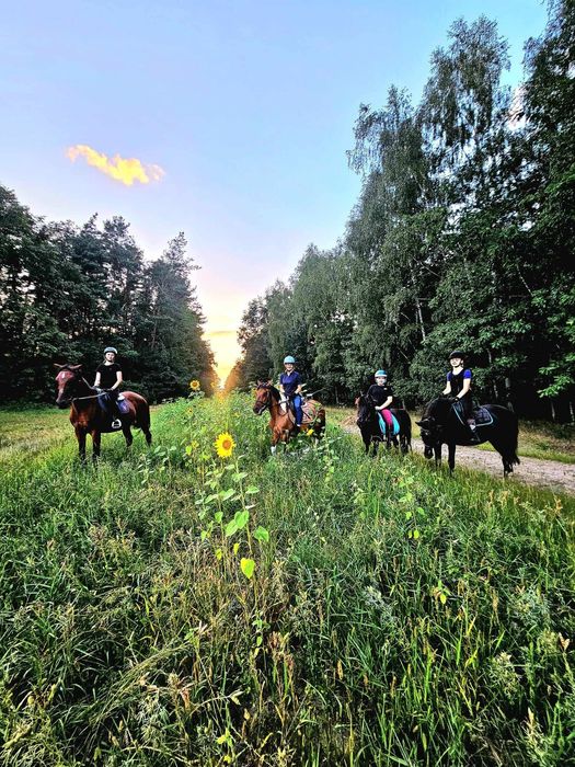 Dom na imprezy wieczór kawalerski/Panieński