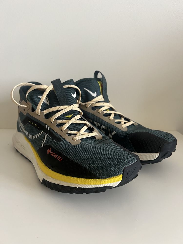 Sapatilhas Nike pegasus trail e gtx trail