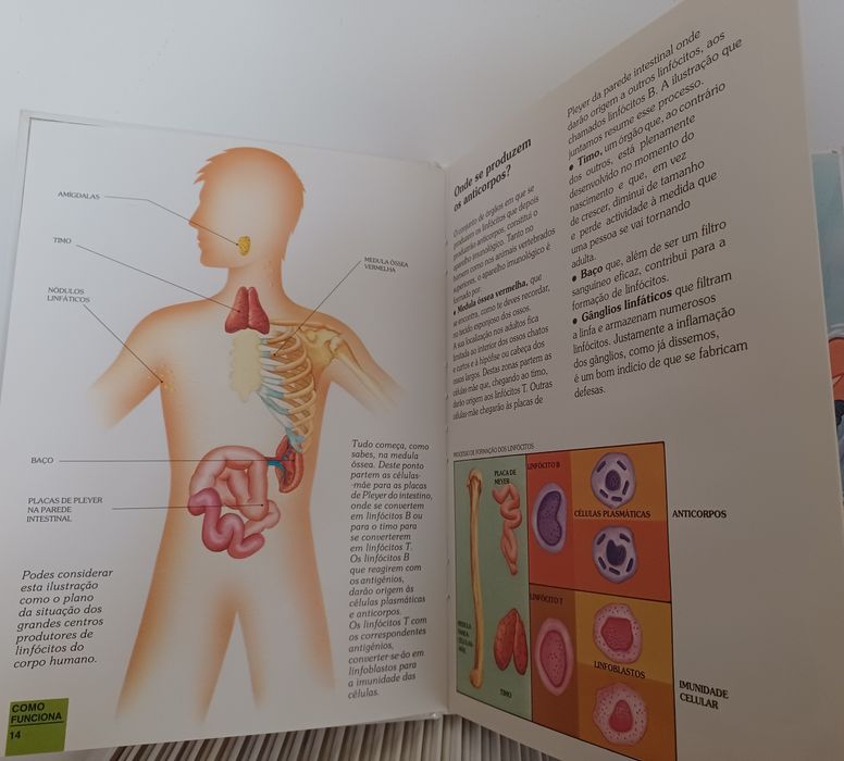 Coleção de livros O Corpo Humano