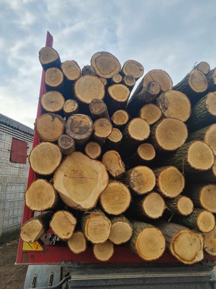 Drewno kominkowe grab buk dab itd transport