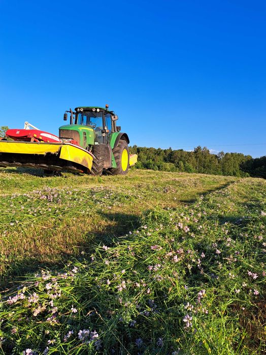 Sianko zielone tegoroczne dla gryzoni królika szynszyli swinki 5kg