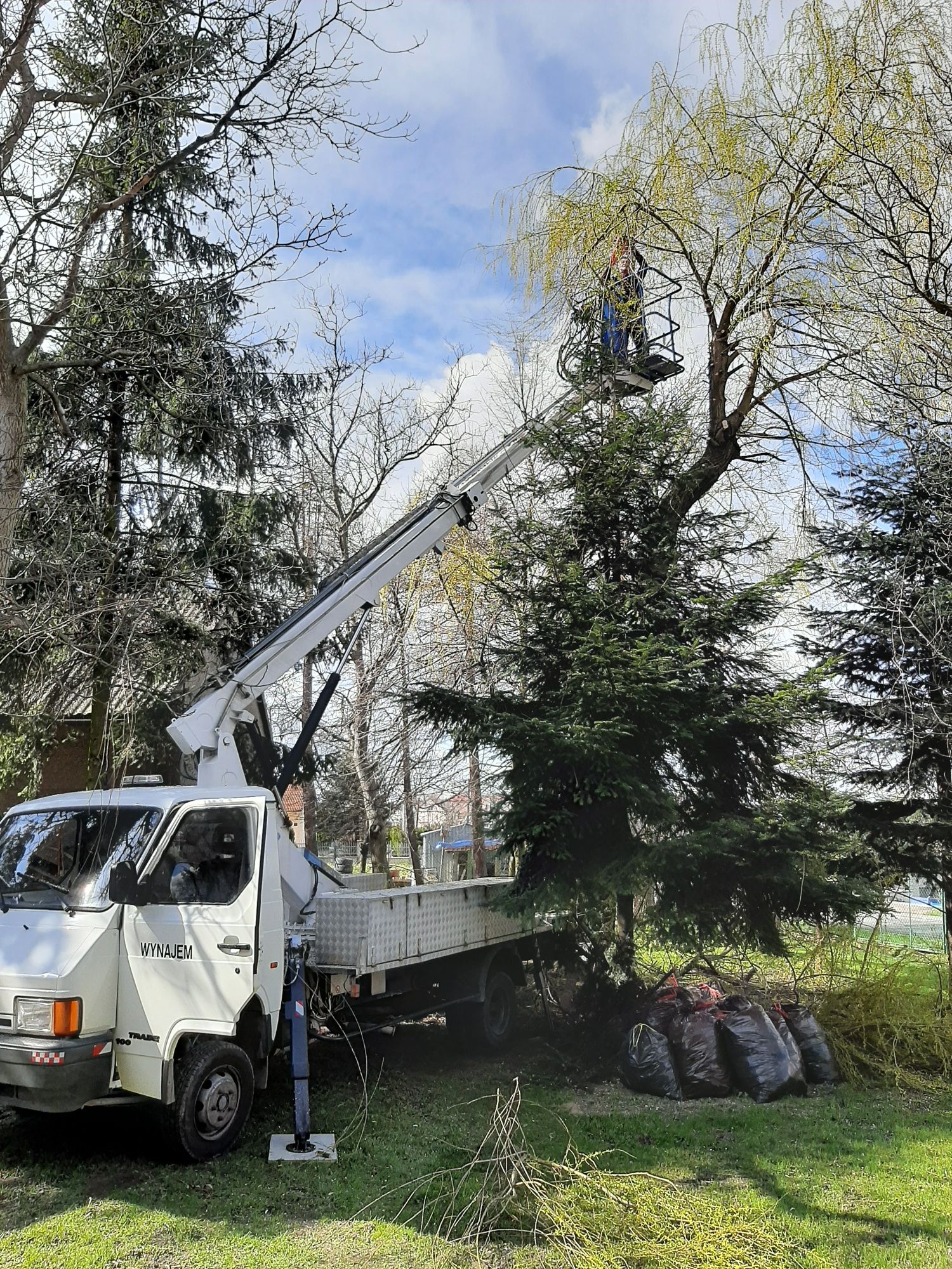 Podnośnik koszowy wynajem usługi zwyżką wycinka mycie malowanie montaż