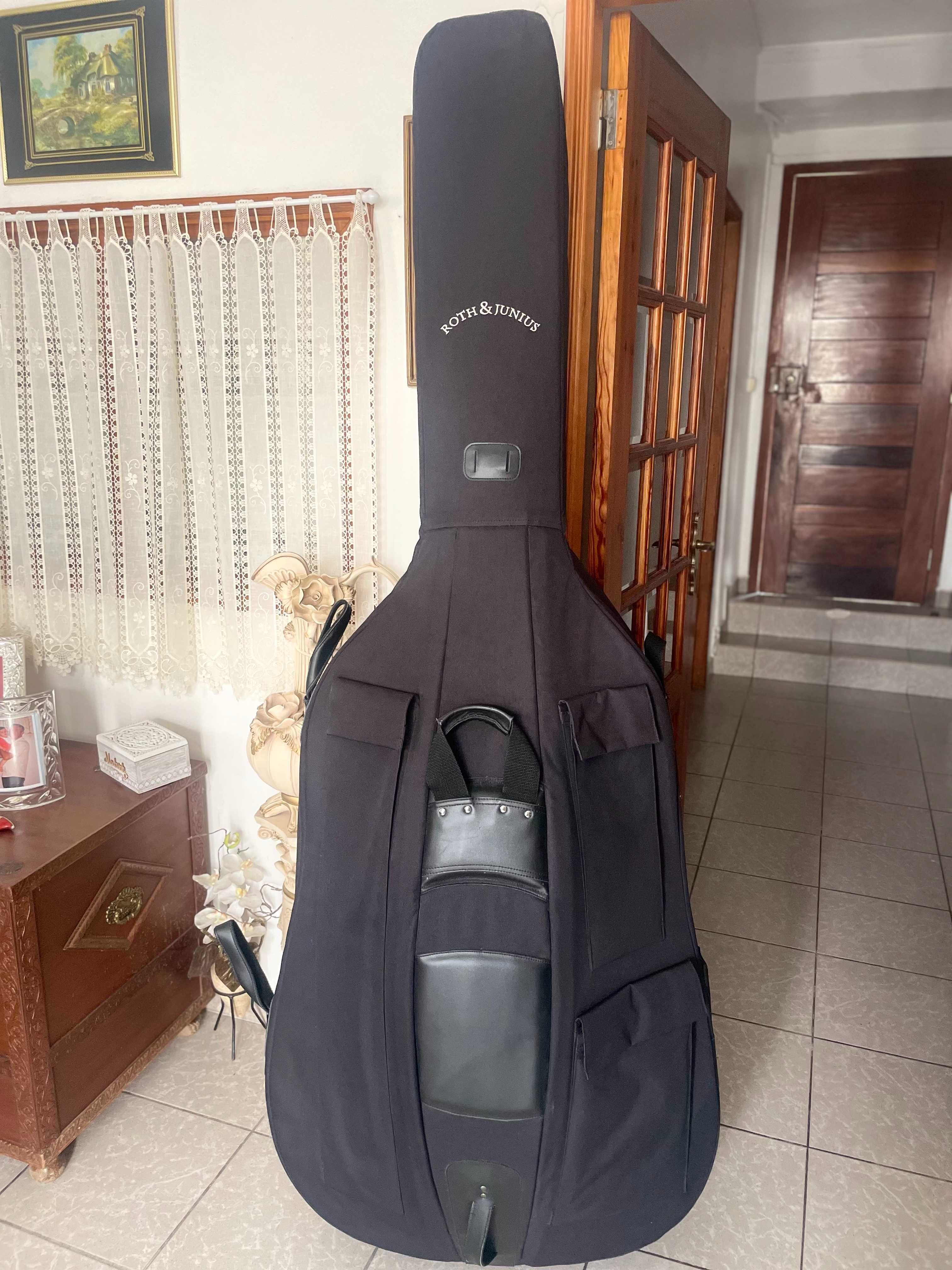 Contrabaixo Dvorak ( Strunal ) , 3/4 + extras ( excelente preco ) .