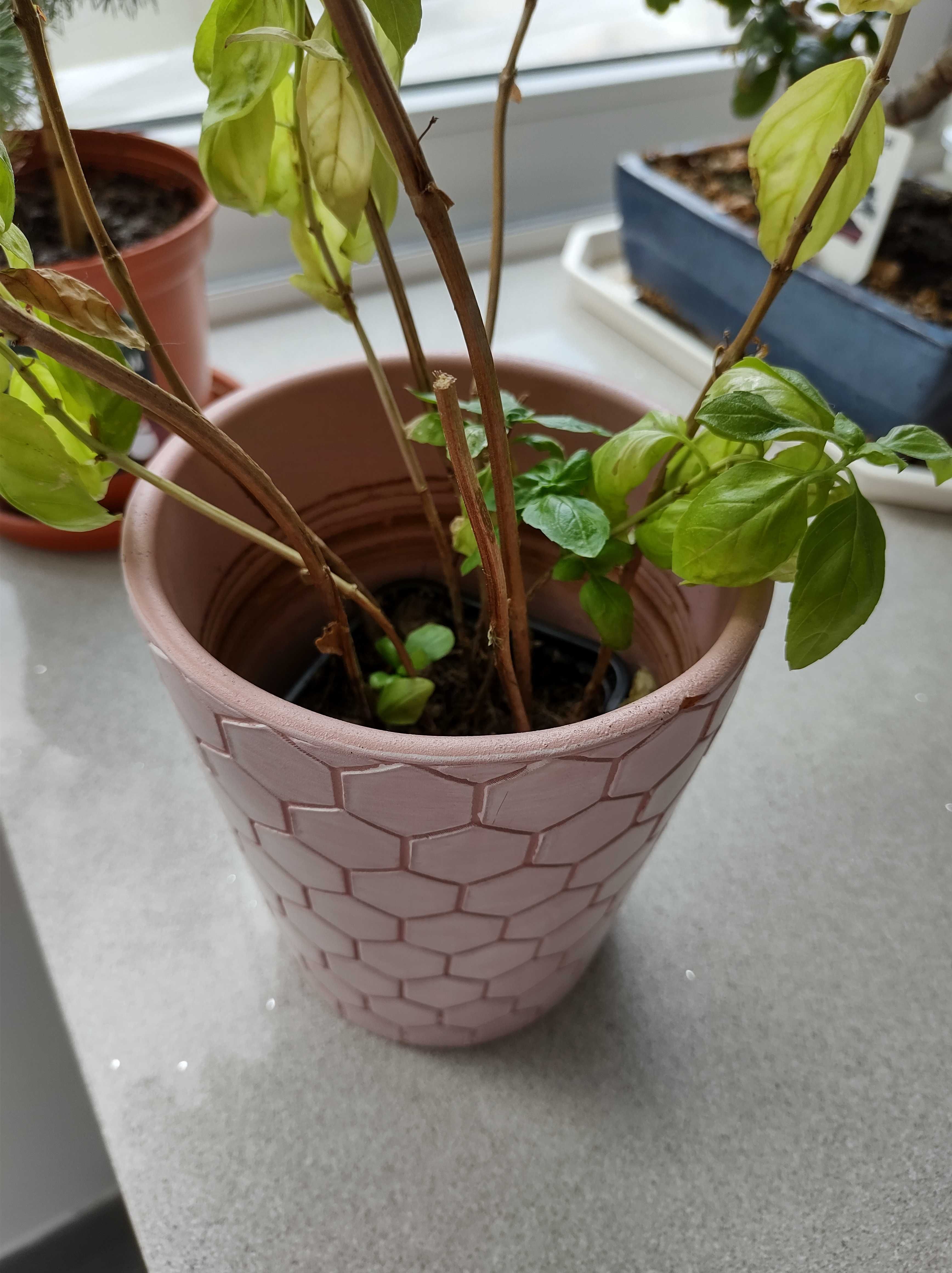 Vaso para plantas