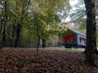 Лісовий ЕКО-будинок з Сауною на дровах подобово відпочинку Брюховичі