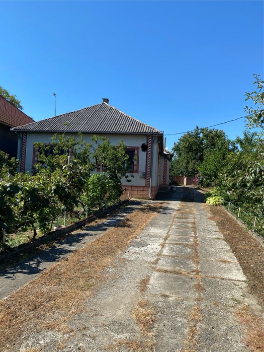 Продається будинок у с.Астей