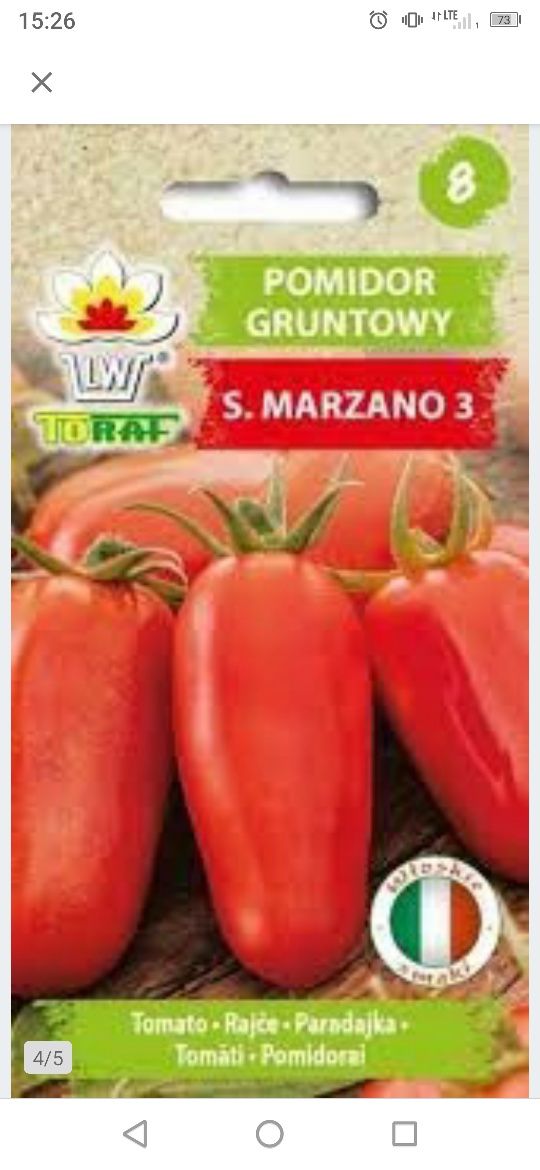 Sadząnki  San marzano pomidory