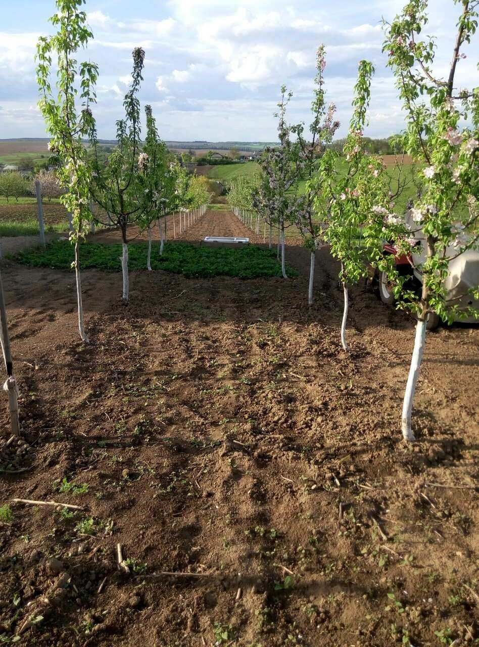 Продам земельну ділянку 15 соток