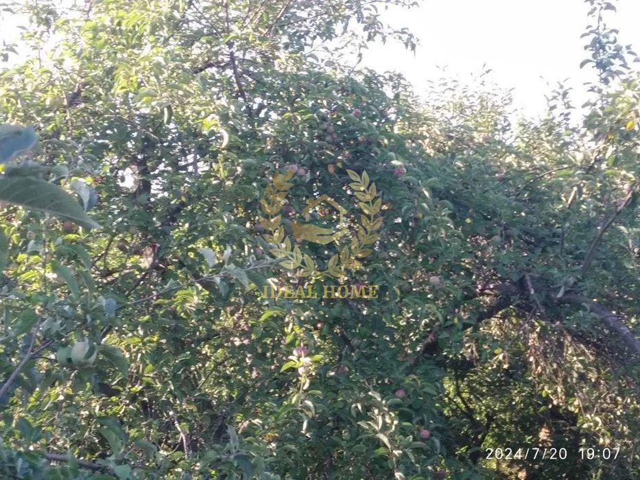 Продаж будинку с.Плесецьке