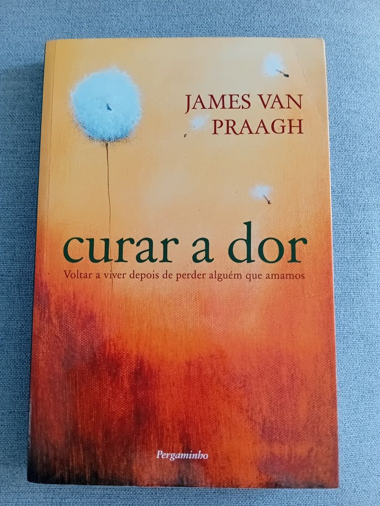 Curar a Dor - James Van Praagh