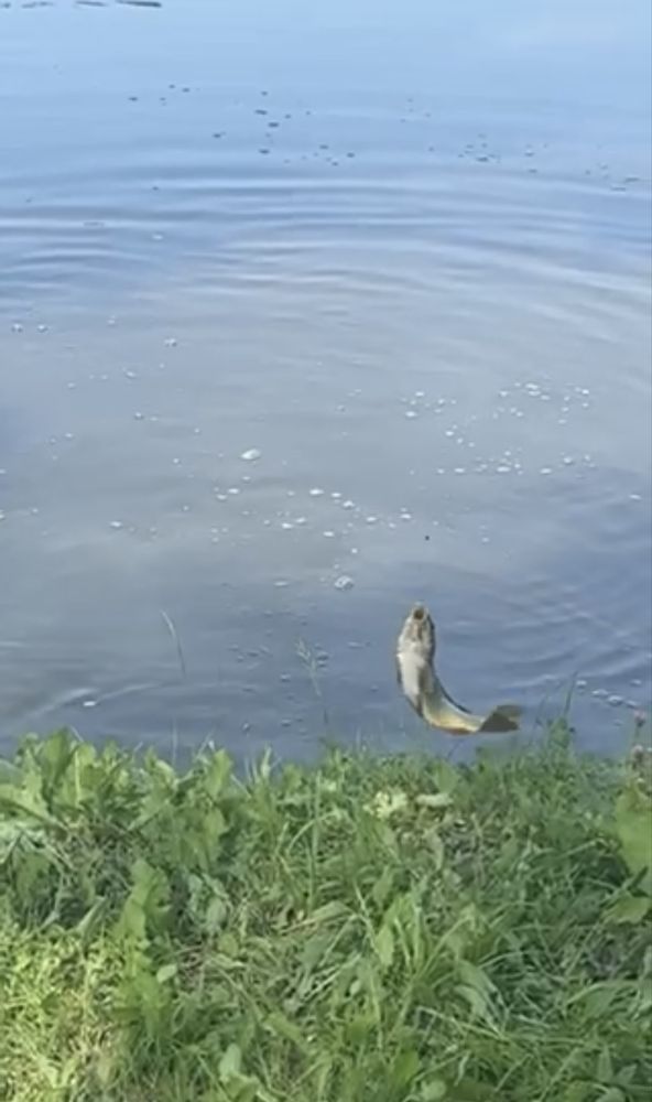 Відпочинок з рибалкою