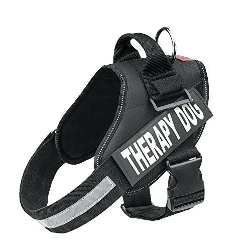 NOVOS - Peitoral K9 personalizável