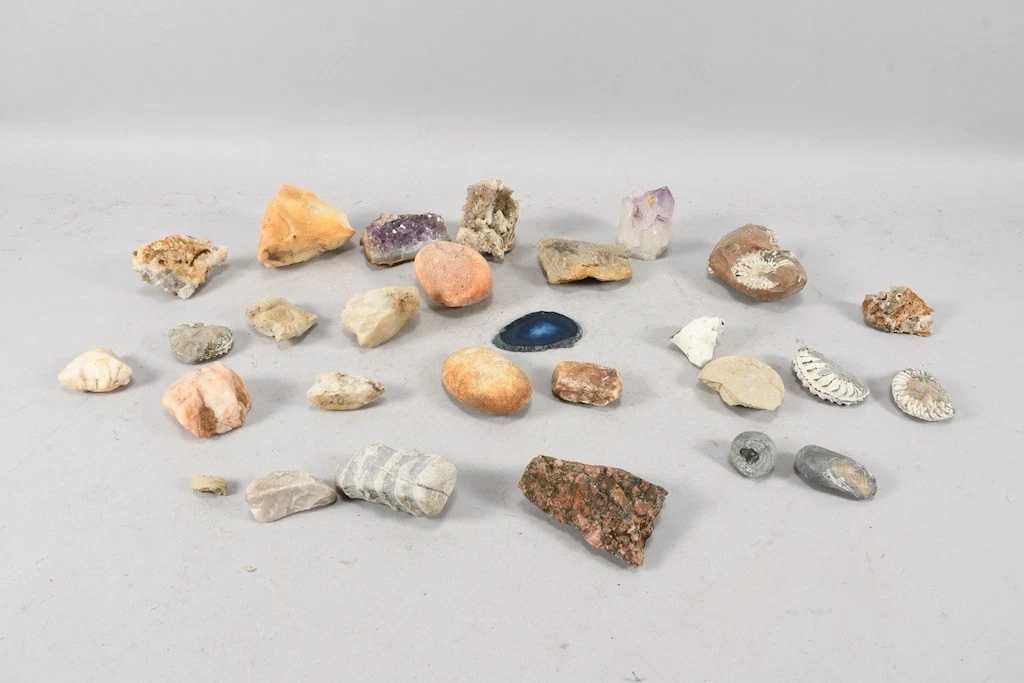 Kolekcja minerałów i skamielin– 1,5 kg Ametyst, muszle, skamieniałości