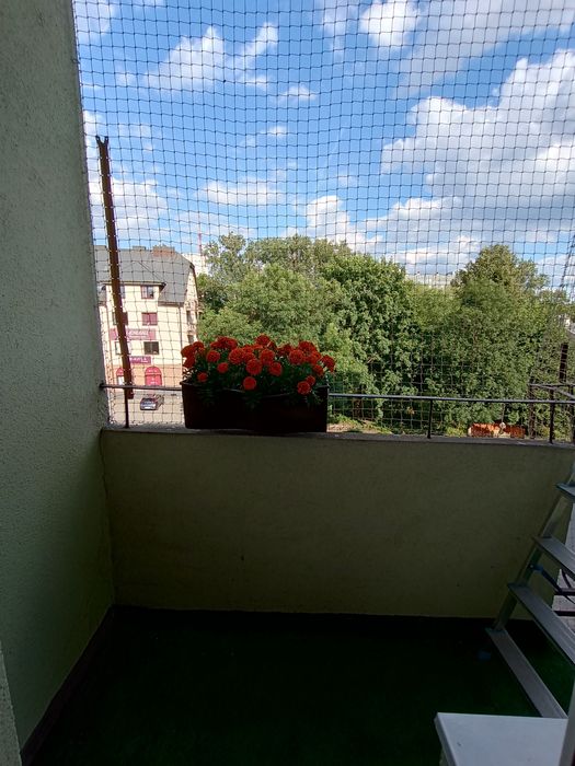 Siatka na balkon, dla kota, przeciw gołębiom