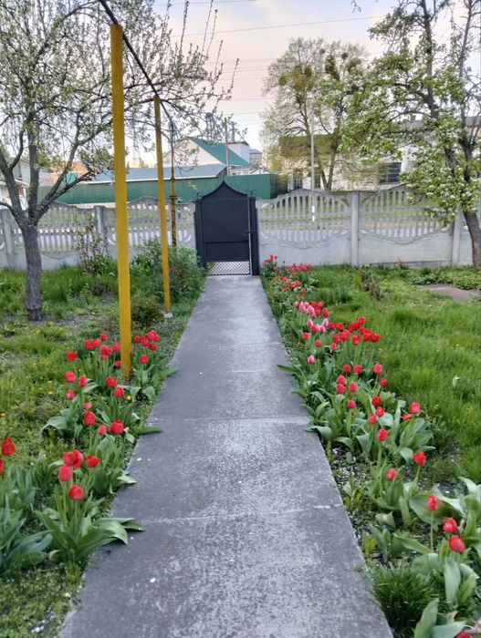 Продам будинок в с. Михайлівка Лебединського району