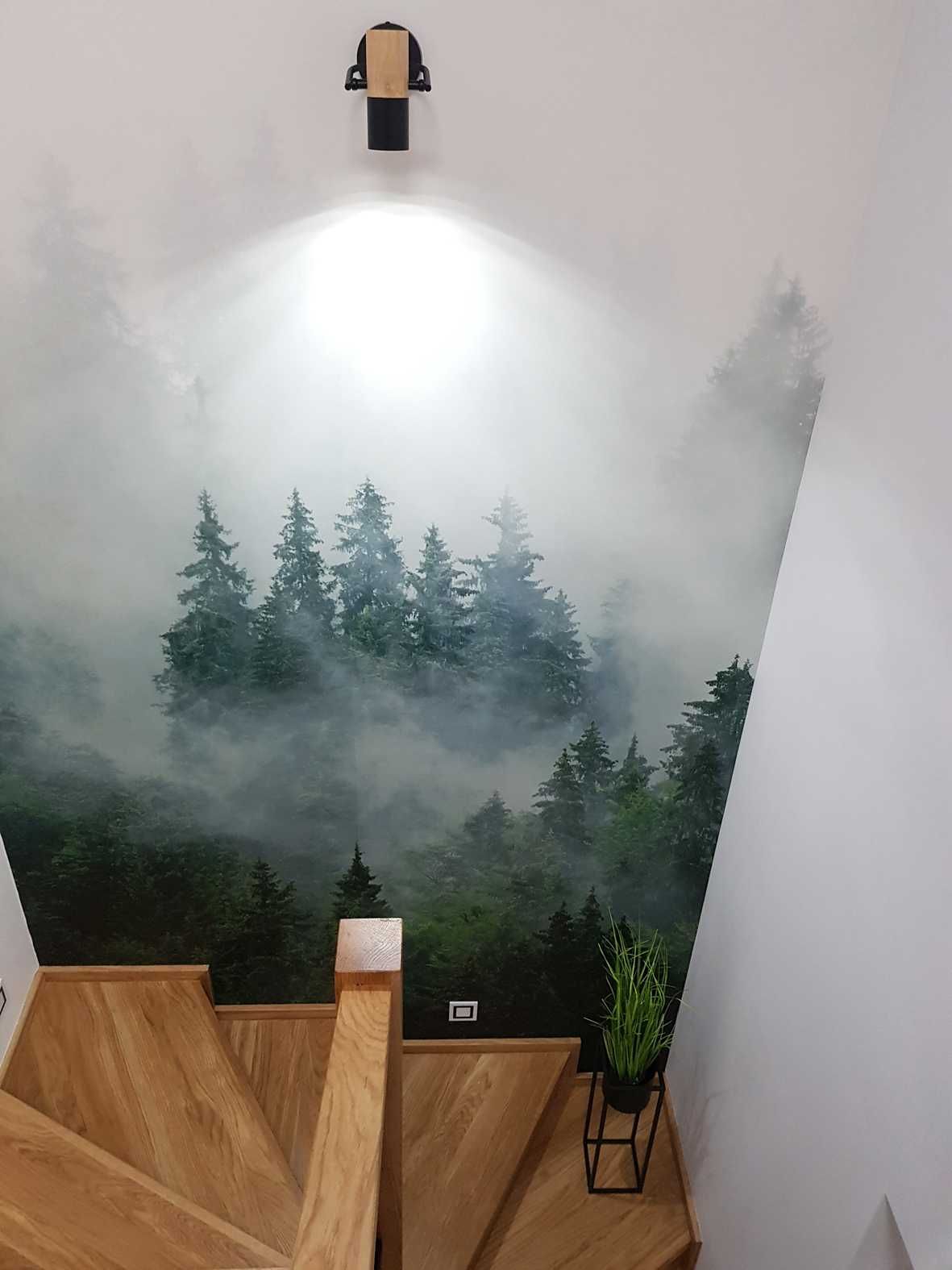 Fototapeta 3d LAS WE MGLE Winylowa Laminowana 400x280 cm