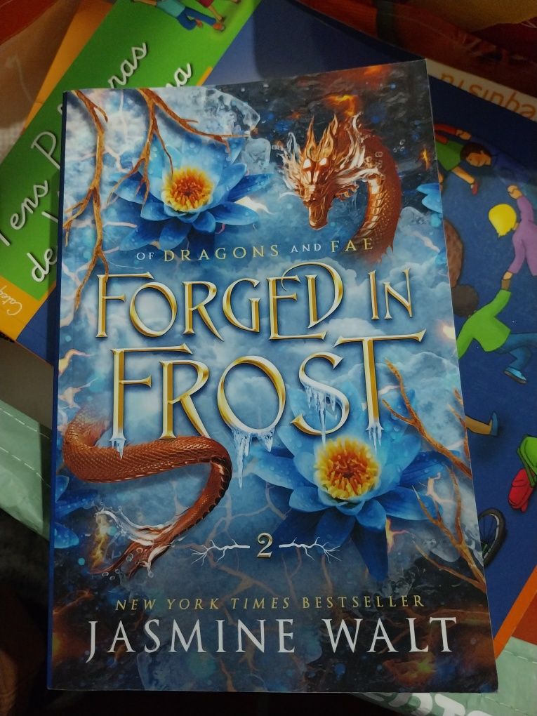 Diversos livros fantasia
