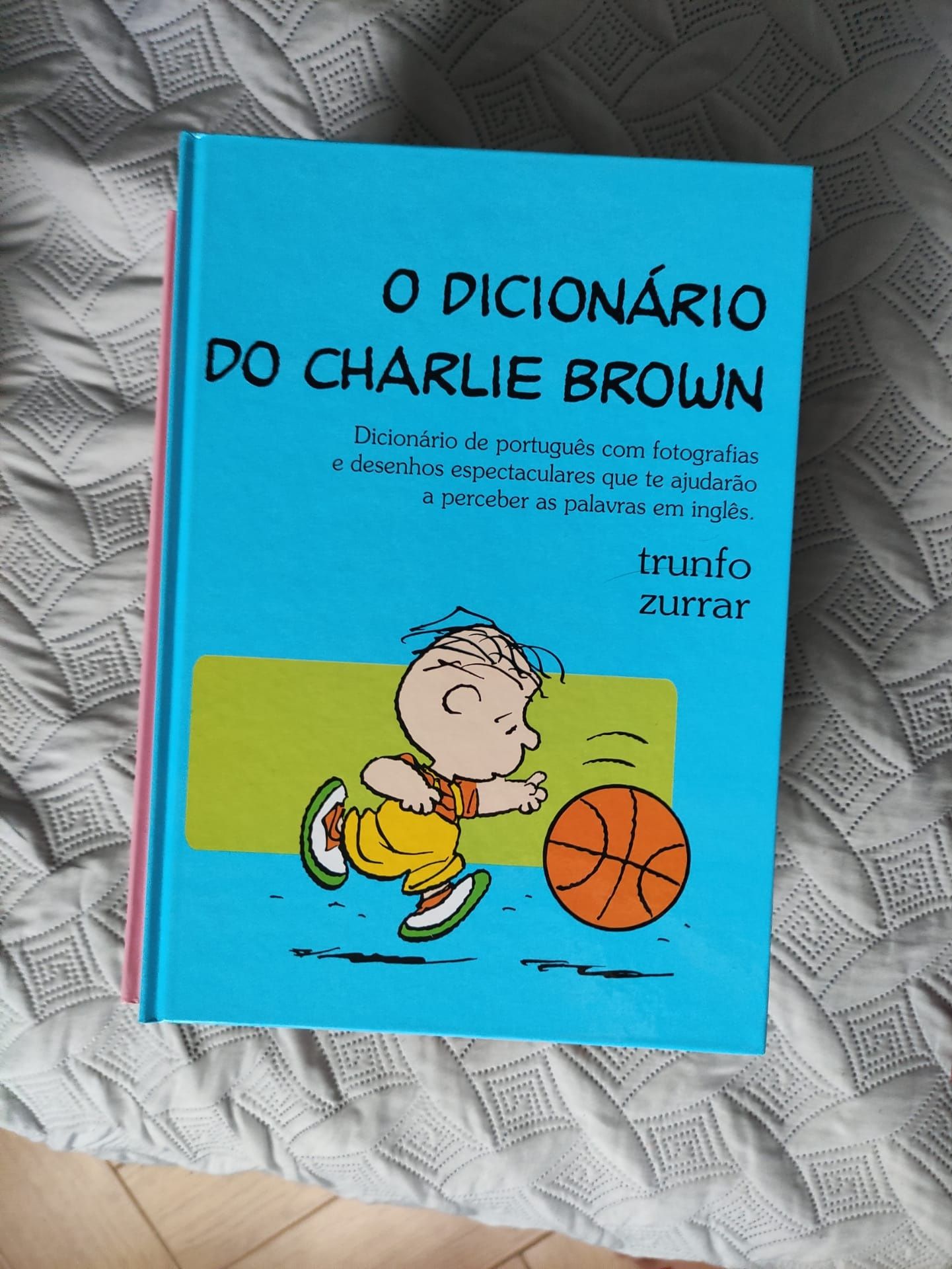 Coleção Enciclopédias/Dicionários de Português - Inglês