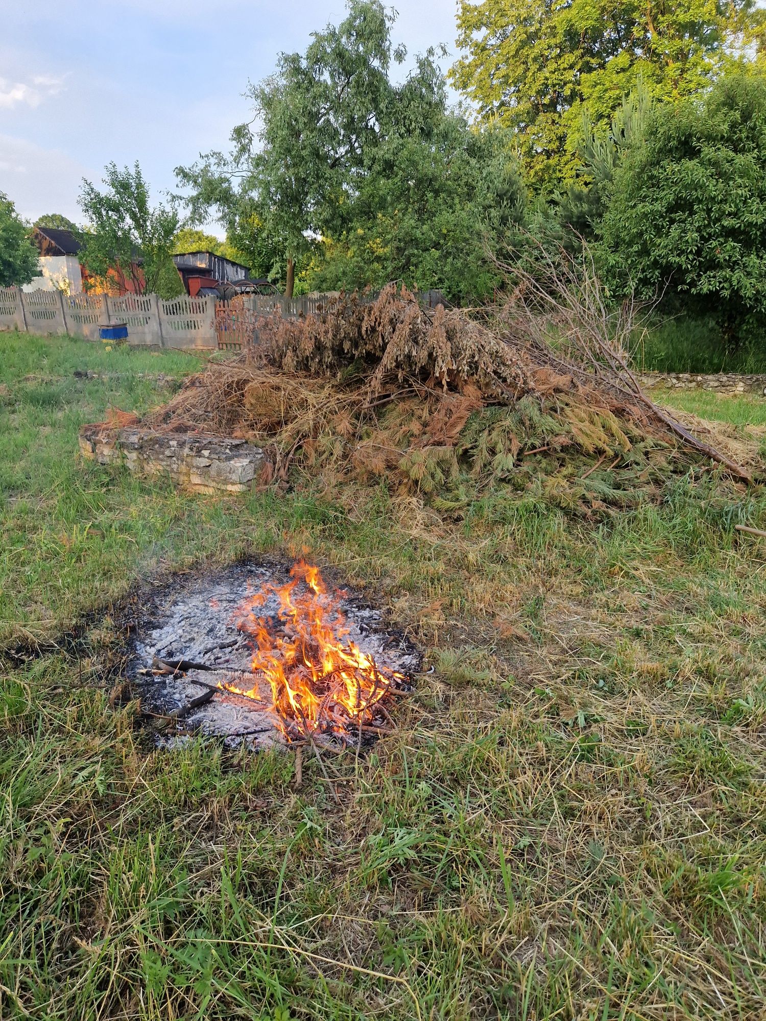 Koszenie trawy, Śląsk przycinanie żywopłotu, trawa