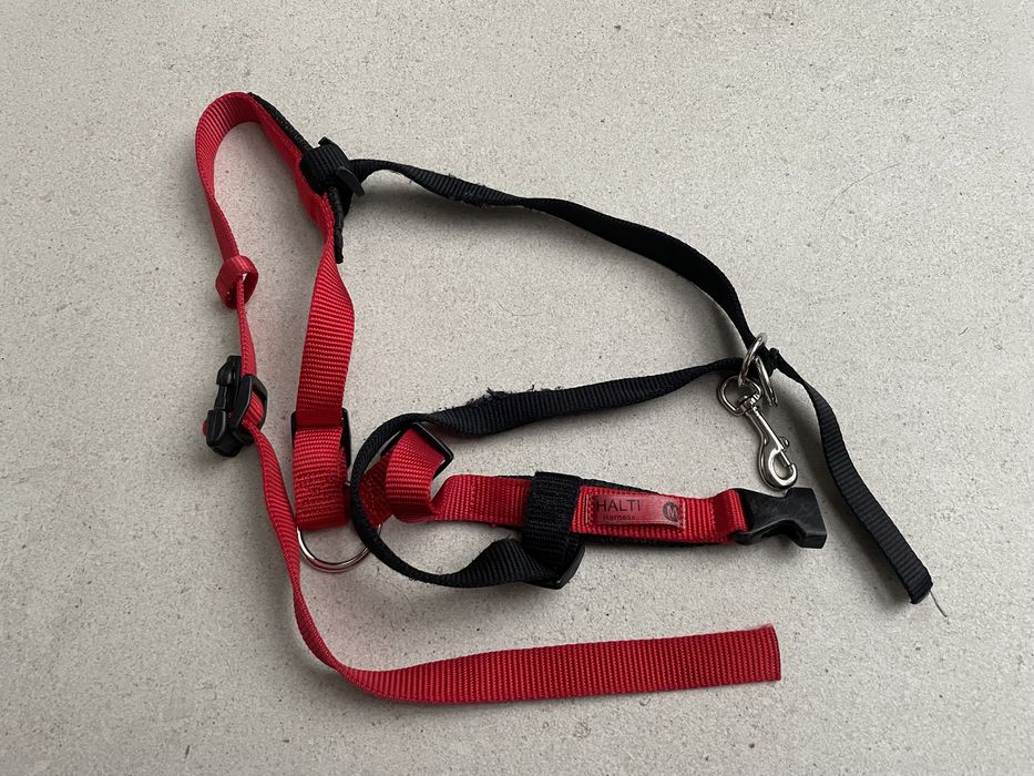 Szelki Halki treningowe Front Control M